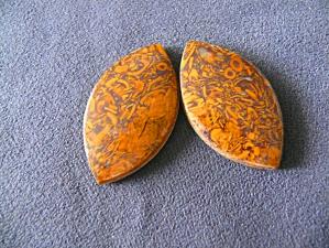 мириам ( ракушечник) пара 5х24х40