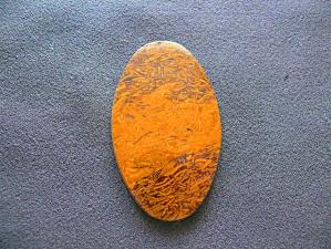 яшма мириам (ракушечник) 5х35х60