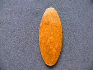 яшма мириам (ракушечник) 5х29х73