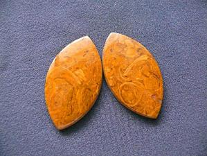 яшма мириам (ракушечник) пара 5х27х49