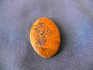 яшма мириам (ракушечник) 5х25х37