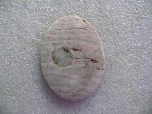 окаменелое дерево 5х39х54