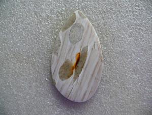 окаменелое дерево 5х37х65